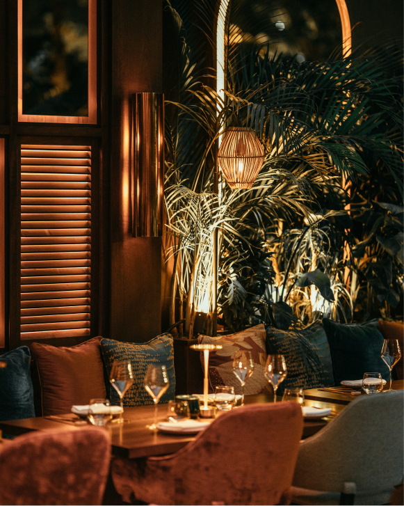 NL-20221125-011-1274-097 1